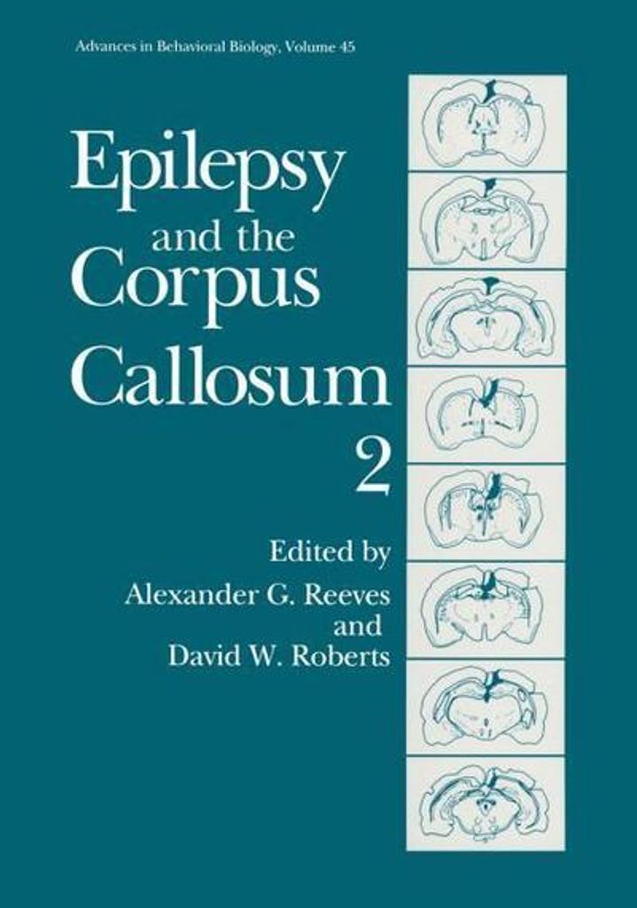 Epilepsie und das Corpus Callosum 2