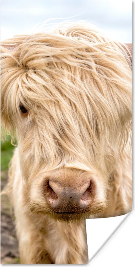 MuchoWow Poster Schottische Highlander - Licht - Landschaft 80x160 cm - Kinderzimmer