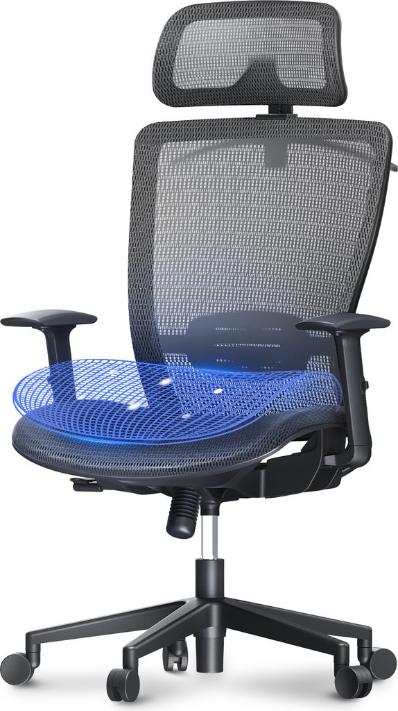 Flexispot OC3B Ergonomischer Bürostuhl – Verstellbarer Schreibtischstuhl mit Armlehnen & Kopfstütze atmungsaktiv, bequem für Homeoffice & Bür...