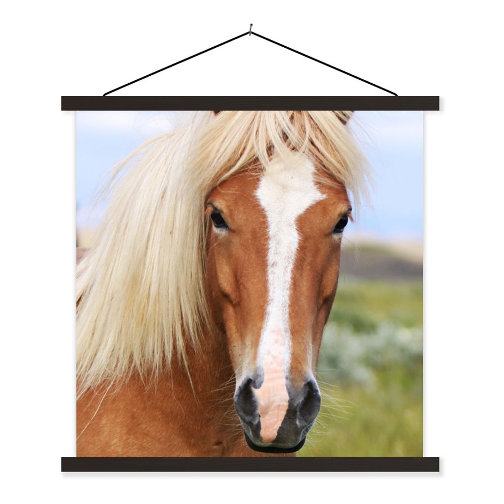 MuchoWow Textilposter Porträt eines Islandpferdes 60x60 cm mit schwarzem Rahmen - Posteraufhänger