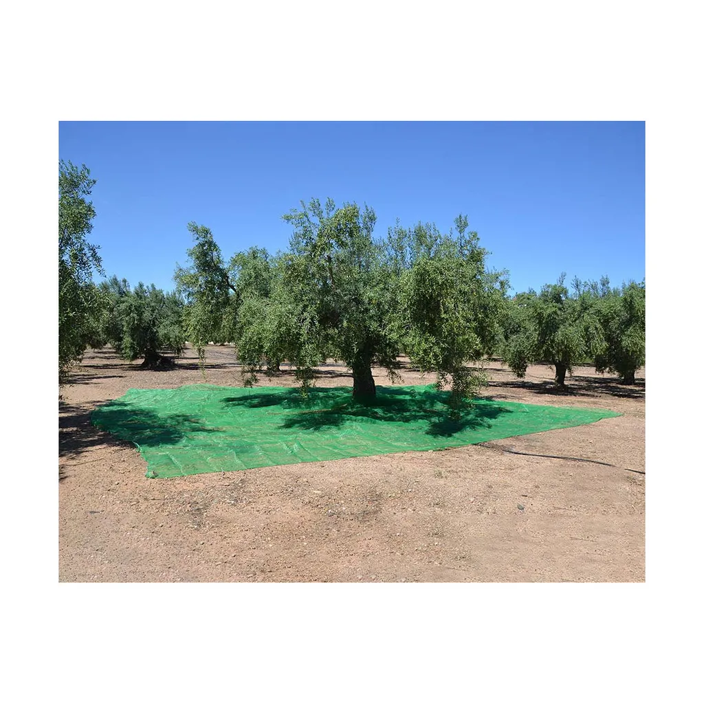 Nappe de récolte agricole 5x8m verte pour olives et amandes de jardin