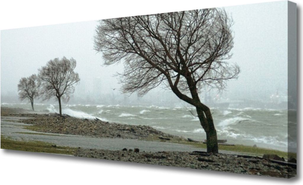 Tulup Leinwand-Bilder 125x50 Wandbild Canvas Kunstdruck Bäume Natur