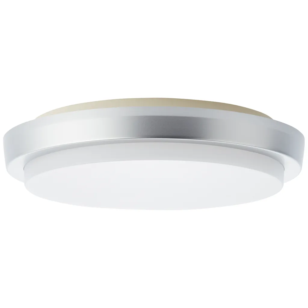 Éclairage LED pour entrée et porche extérieur IP65 argenté 28cm 3000K