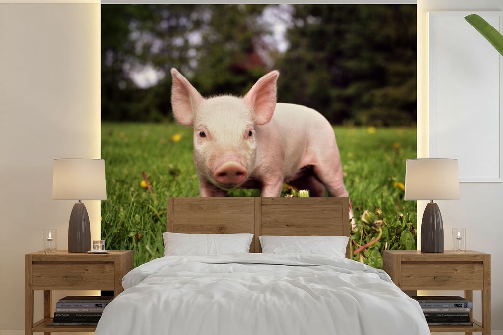 MuchoWow Fototapete für Wohnzimmer oder Schlafzimmer Wandtapete Vinyl Motivtapete Kleines Ferkel - 240x240 cm - Schlafzimmer-Tapete