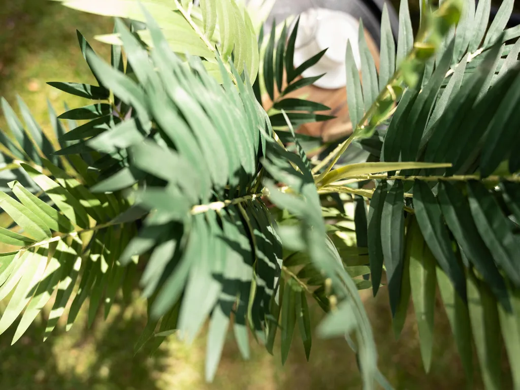 Palmier Areca Synthétique Haute Qualité 110cm - Feuillage Dense Vert