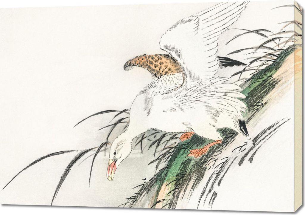 Bild 100x70cm Albatross, Japanische Kashu Vintage für das Wohnzimmer