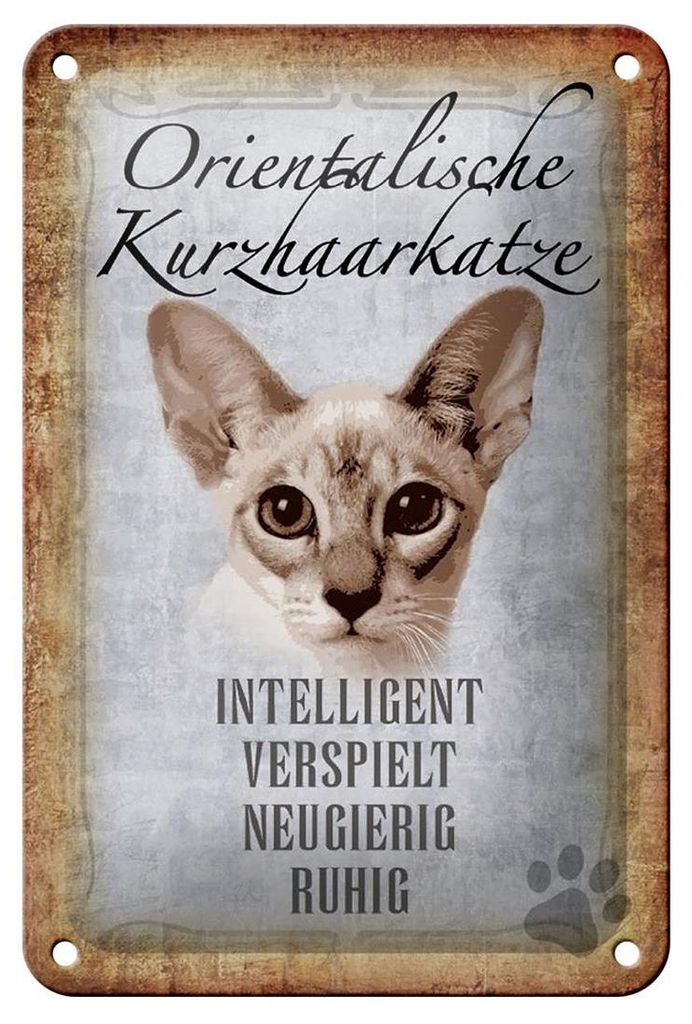 Blechschild Spruch 12x18cm orientalische Kurzhaarkatze