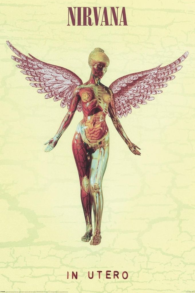 Nirvana - In Utero - 61x91,5cm - Affiche Poster Image du produit 