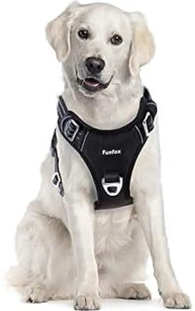 Funfox Pettorina Anti-Trazione Cane L: Training e Sicurezza Notturna