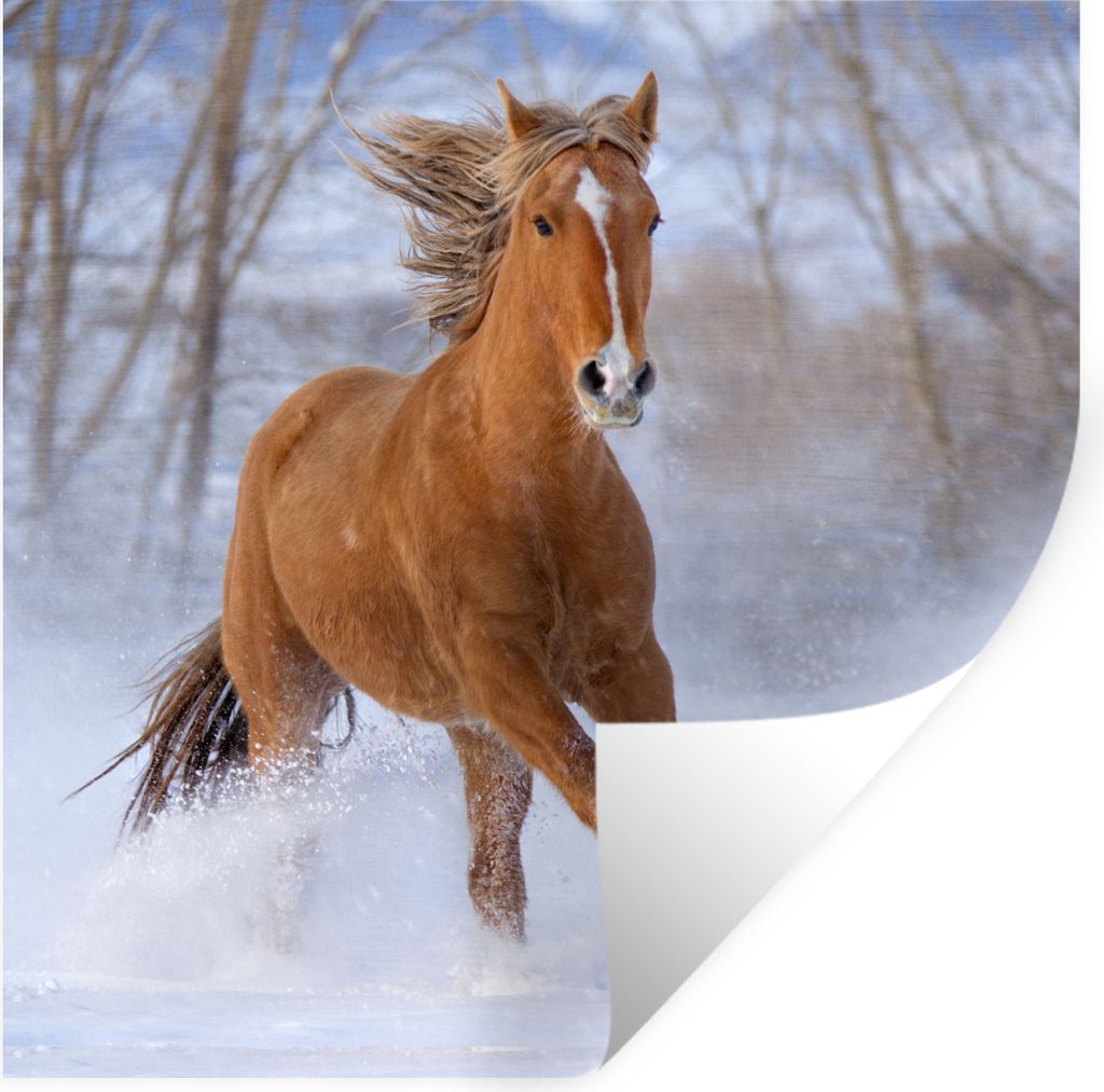 MuchoWow Wandtattoo Wandsticker Wandaufkleber Pferd - Schnee - Braun 30x30 cm Selbstklebend und Repositionierbar - Repositionierbar - Wasser abwe...