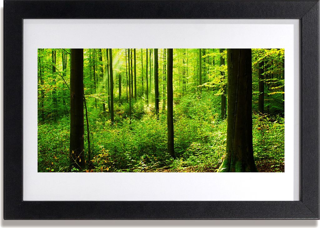 Bild 30x20 MDF-Rahmen Wandkunst Grüner Wald Bäume Natur