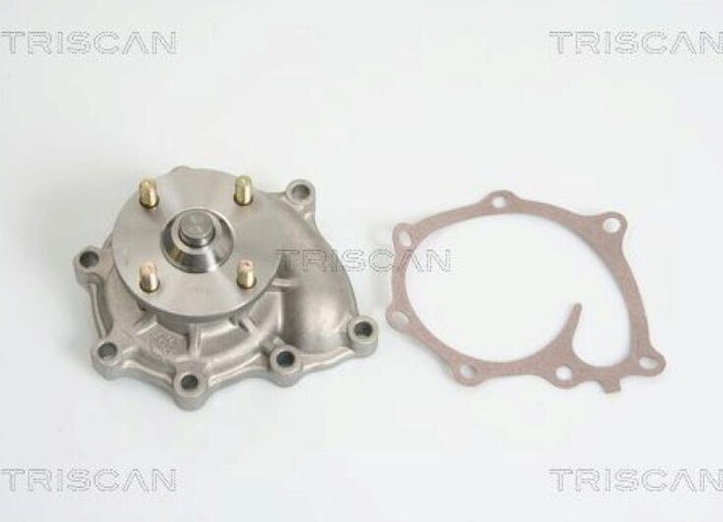 TRISCAN Wasserpumpe 8600 43009