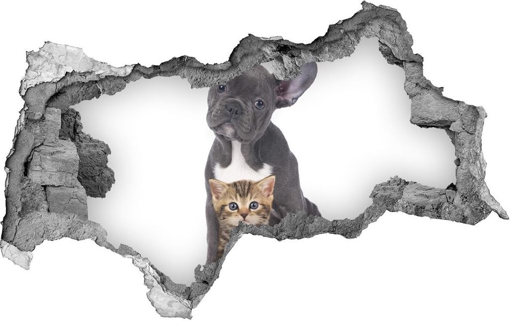 Selbstklebender Loch-3D-Aufkleber 95x73 cm Hund und Katze