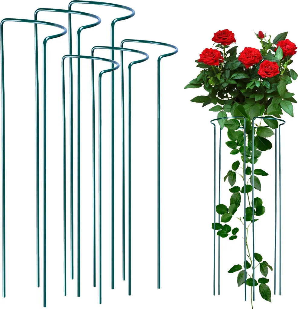 Support de croissance pour plantes grimpantes 6 pièces métal rigide