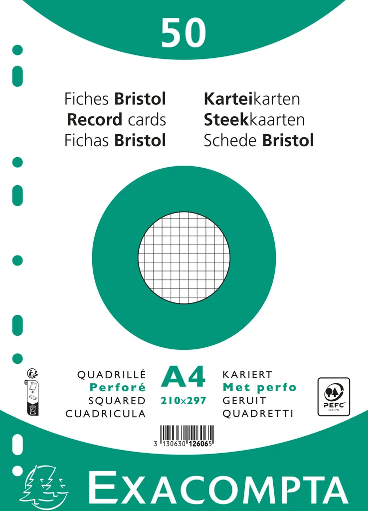 Fiches bristol perforées A4 Exacompta : évitez les notes perdues et froissées