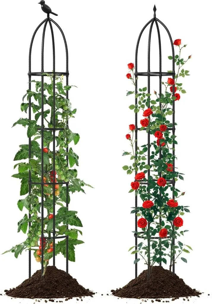 Obélisques de Support Plantes Métal - Solution pour Tiges Fragiles