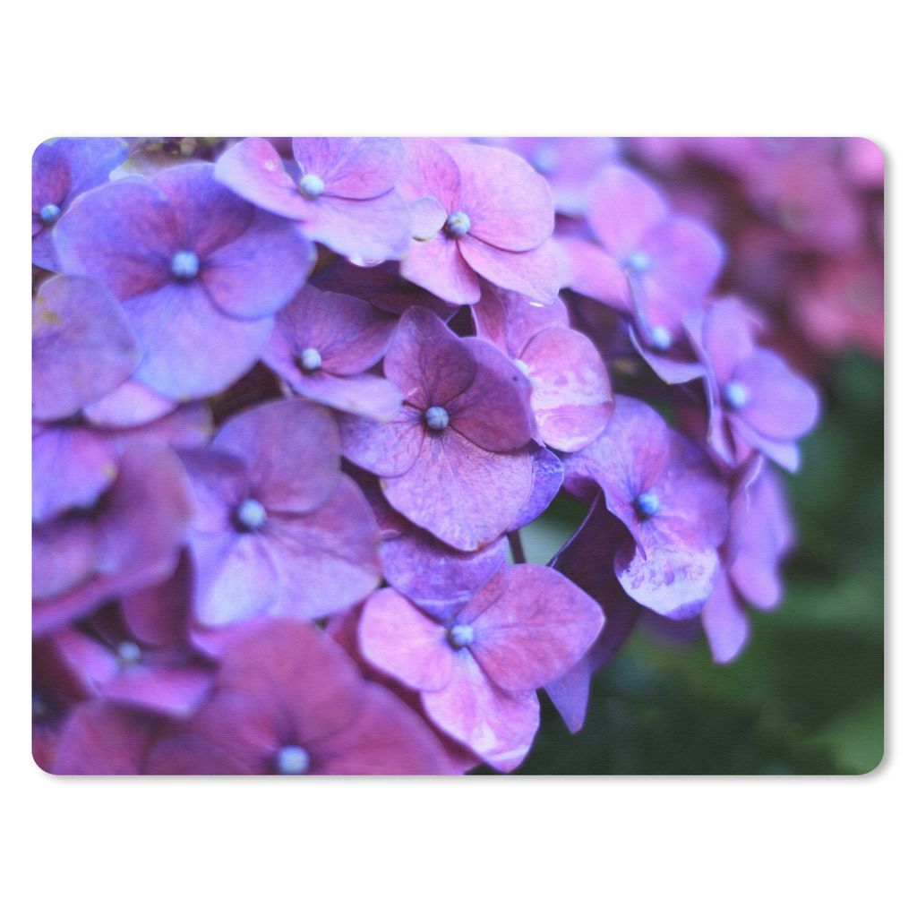 MuchoWow Mauspad Mousepad Blumen - Lila - Hortensie - Natur - Blütenblätter 23x19 cm - Mousepads - Maus Mat - Pad - Mausunterlage - Schreibtisc...