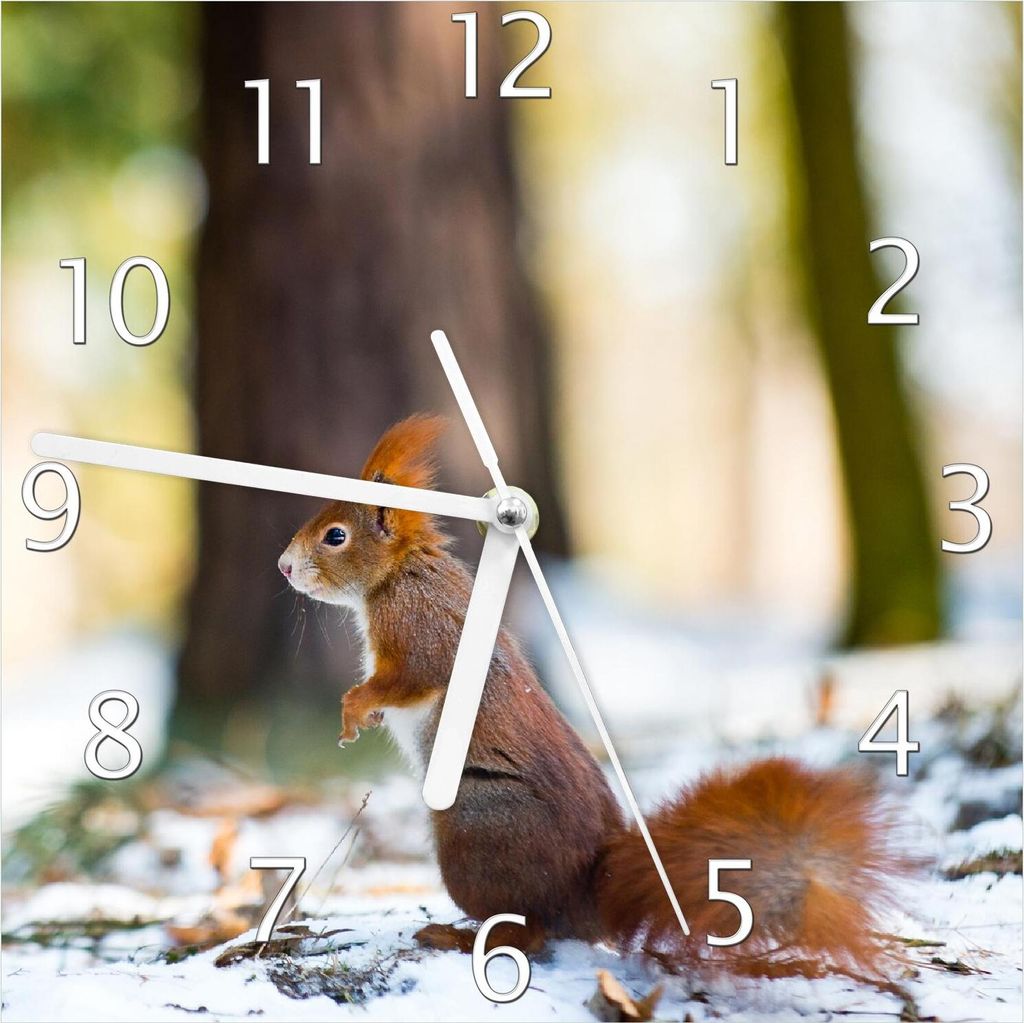 Wallario Design Wanduhr Neugieriges Eichhörnchen im verschneiten Wald aus Echtglas, Größe 20 x 20 cm