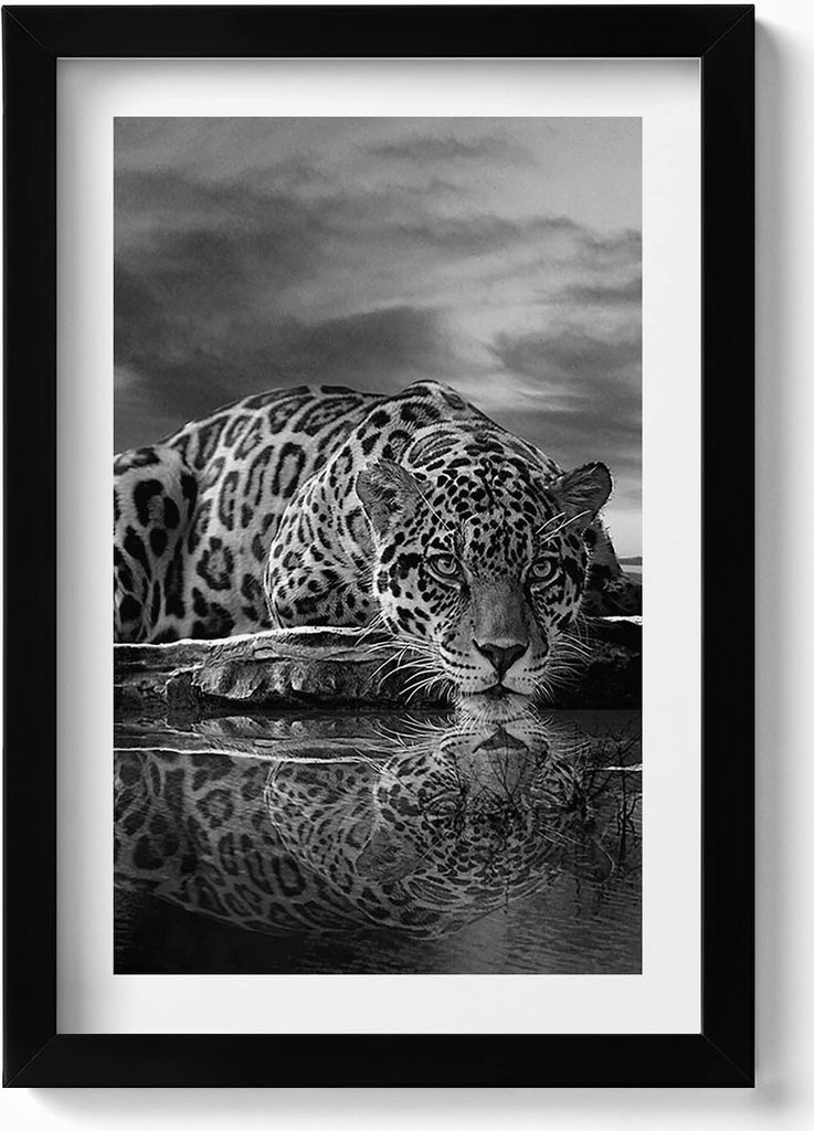 Schwarzer und weißer Leopard als Wildtier– Wandbild mit Rahmen – Gerahmtes Bild – Wanddekoration – 20x30 cm – Schwarz