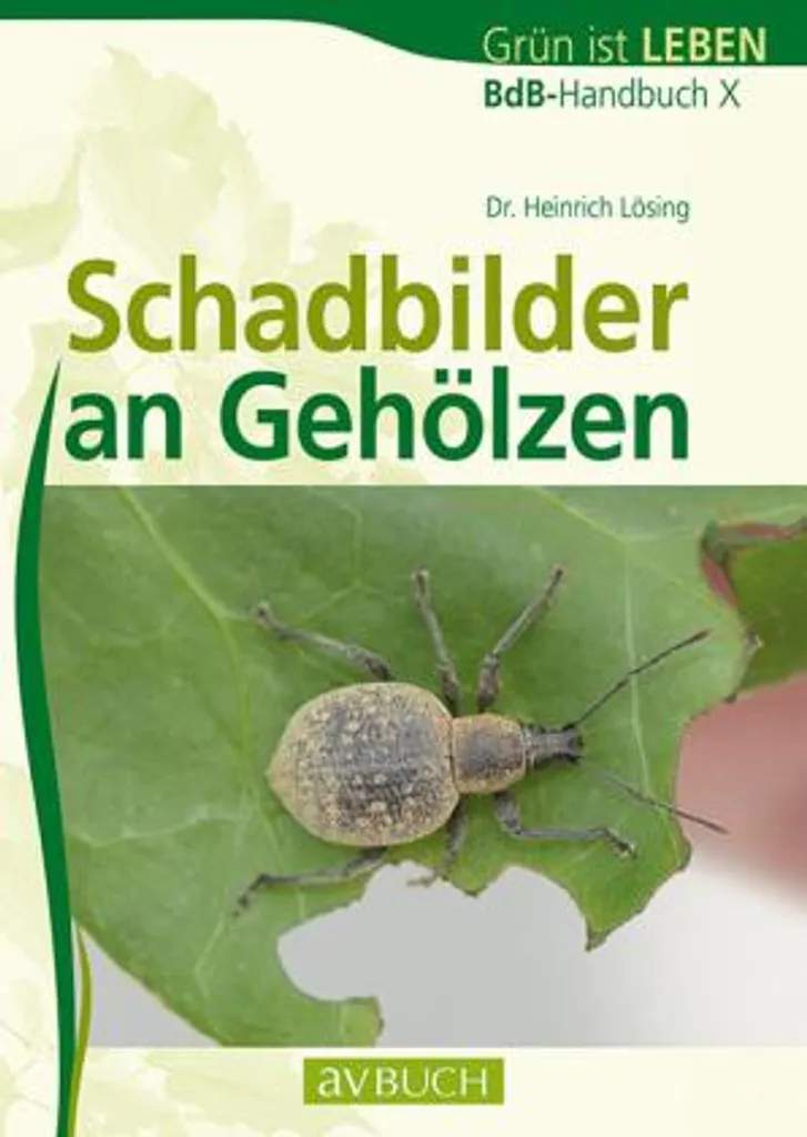 Protéger vos jardins avec Schadbilder an Gehölzen contre les parasites - 2