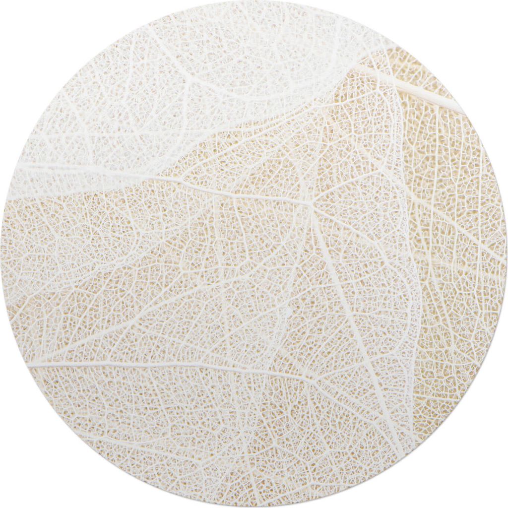 Blatt mit zartem Muster – Bodenschutzmatte – Stuhlunterlage – Bürostuhlmatte – Rutschfeste Bodenmatte – Schutzmatte für Hartboden – f...