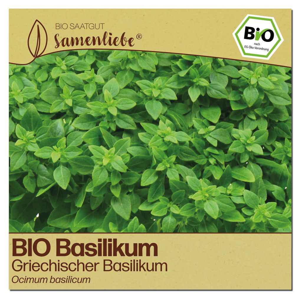 Samenliebe  Basilikum Samen | Griechischer Buschbasilikum - Produktbild 