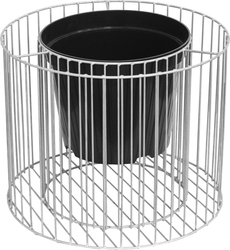A black plastic pot inside a silver wire cylindrical planter.