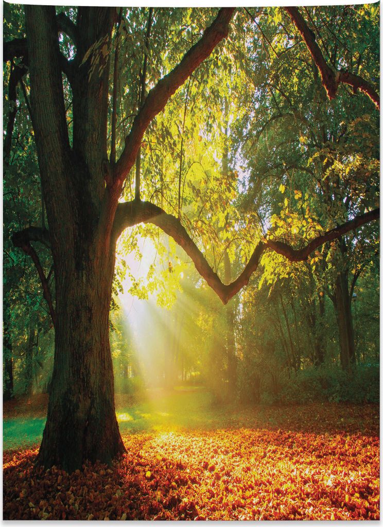 Abakuhaus Baum Wandteppich, Oak Autumn Leaves Hazy aus Weiches Mikrofaser Stoff Kein Verblassen Klare Farben Waschbar, 110 x 150 cm, Grün braun Or...
