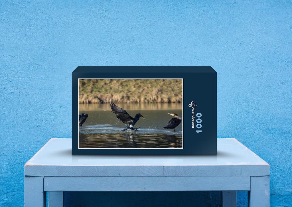 hansepuzzle 22503 - Wasser-Landung Puzzle, 1000 Teile, Natur, 60,0 x 46,0cm mit hochwertiger Aufbewahrung, Kartonbox und wiederverschließbarem Beutel