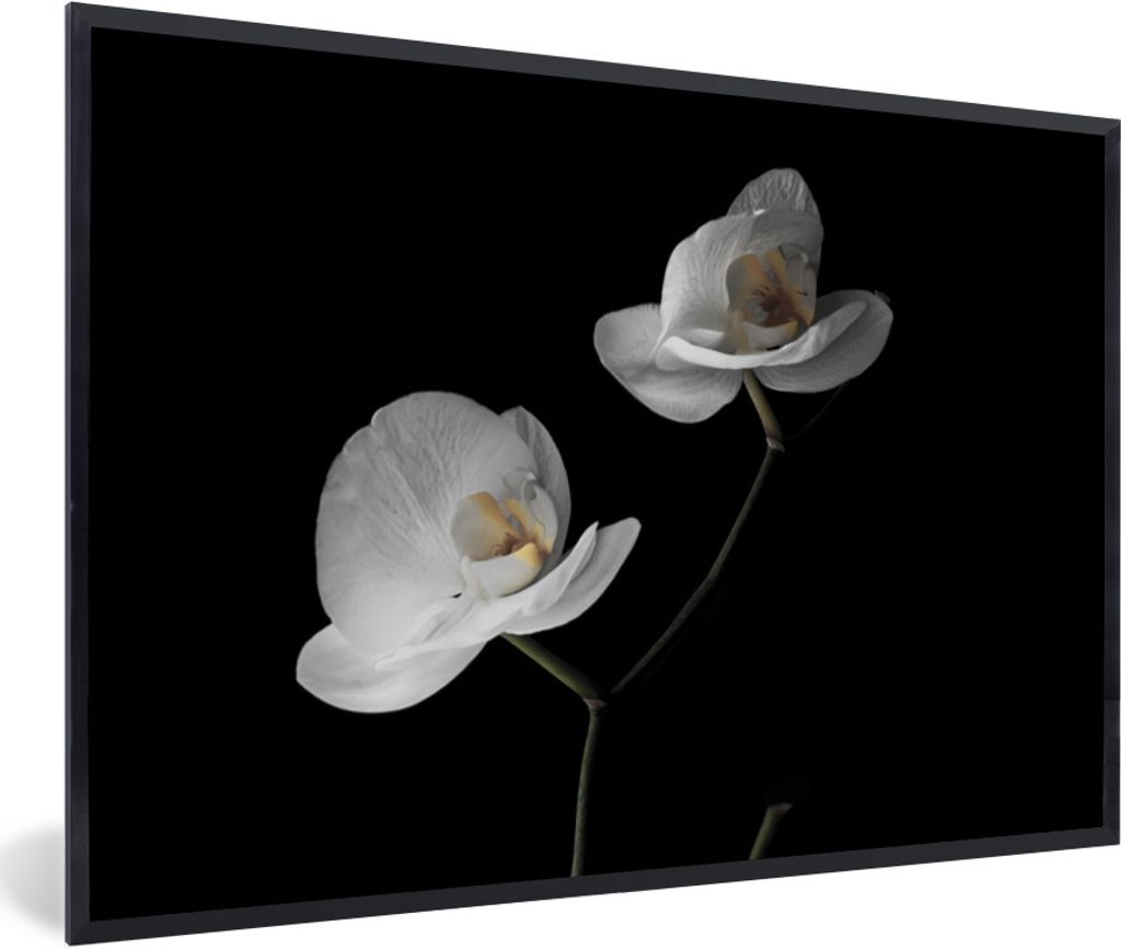 MuchoWow Gerahmtes Poster Orchidee - Blumen - Schwarz - Weiß - Stilleben 30x20 cm - Poster mit Schwarzem Bilderrahmen Wandposter Rahmen Foto Bil...