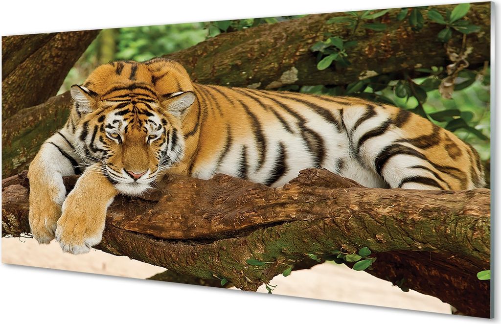 Glasbilder 120x60 Wandkunst Tiger Baum