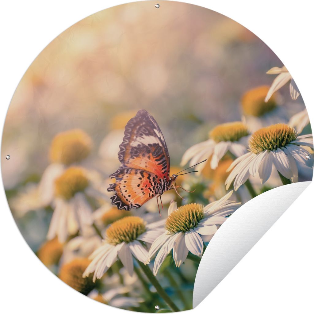 MuchoWow Gartenposter Outdoor-Poster Rund Schmetterling auf Kamillenblüte Ø 120 cm Gartendeko Rundes Poster draußen