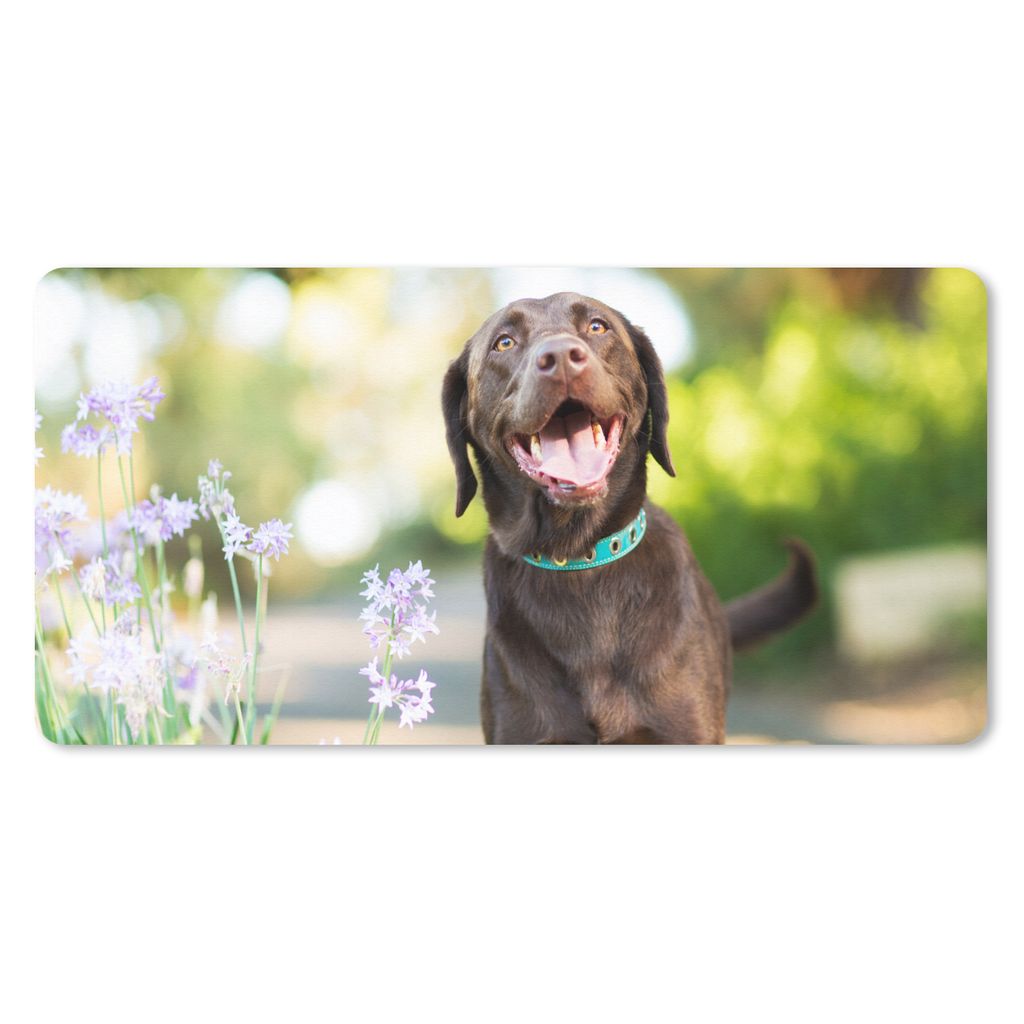 MuchoWow Mauspad Mousepad Ein Labrador Retriever mit schönen Blumen 60x30 cm - Mousepads - Maus Mat - Pad - Mausunterlage - Nachhaltig
