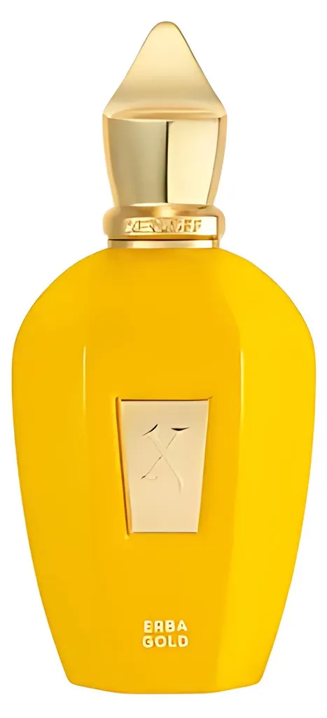 Xerjoff Erba Gold V 100 ml - Parfum Longue Tenue pour un Sillage Unique