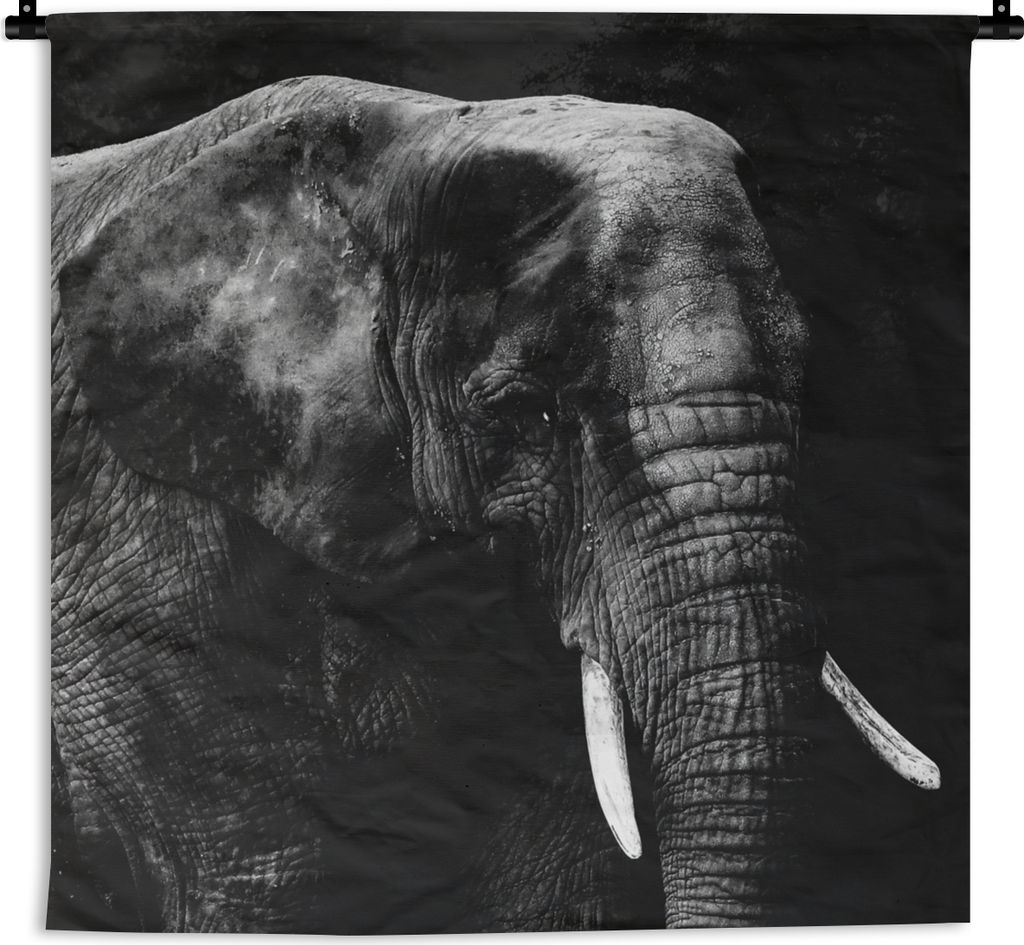 MuchoWow Wandteppich Wandbehang Elefant - Tiere - Schwarz - Weiß 150x150 cm Tapisserie Dekoration Wandtuch - Wohnaccessoires - Modernes