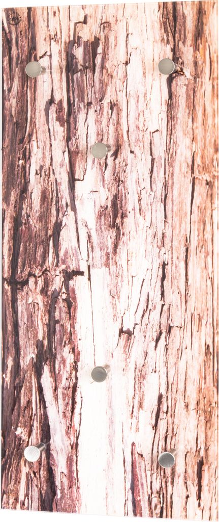 HAKU Möbel Wandgarderobe edelstahloptik, Motiv - Metall, Sicherheitsglas 6 mm, B/H/T: 30x70x5 cm