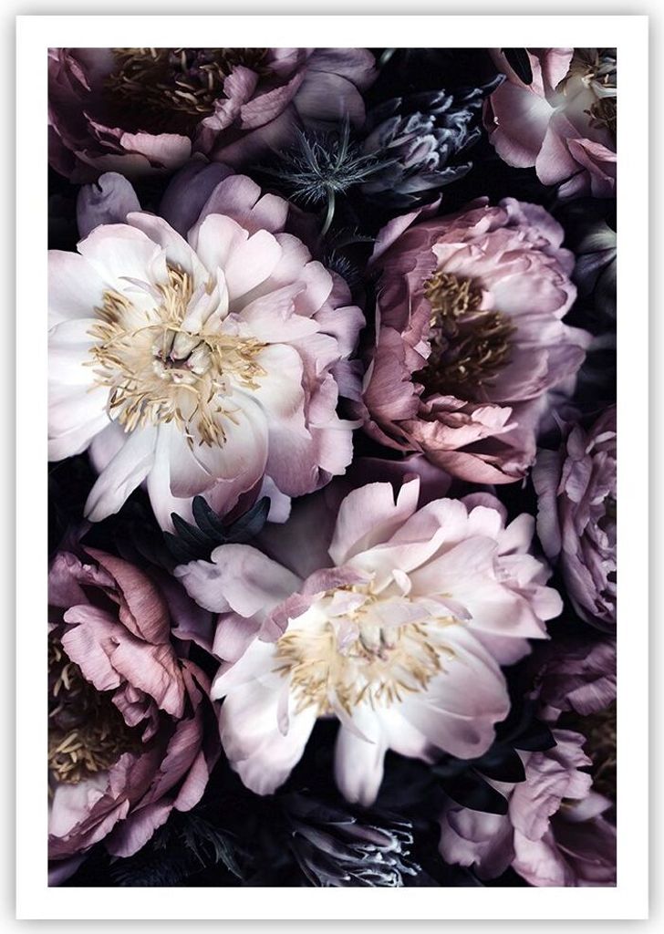 Poster - Poster ohne Rahmen - Pfingstrosen Veilchen Blumen - 70x100 cm - Wand Bild - Wanddeko - Wandbilder - Kunstposter - Wandposter - Bilder - Ku...