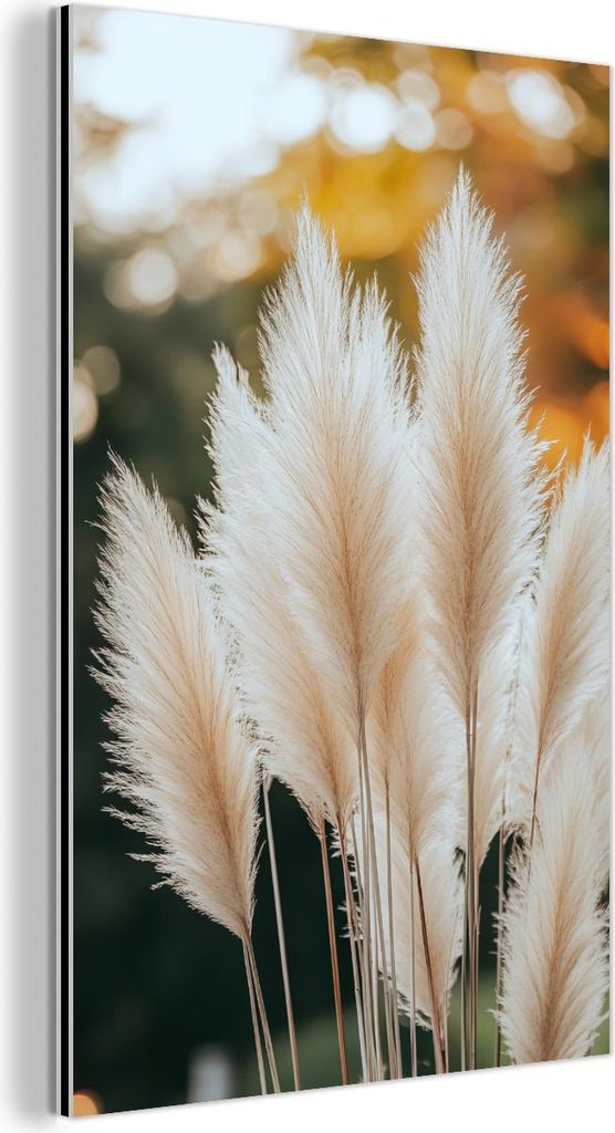 MuchoWow Wanddekoration Metall Metallbild Wandkunst 20x30 cm Pampasgras - Federn - Zierpflanze MuchoWow Aluminium Gemälde - Alu Dibond Bild