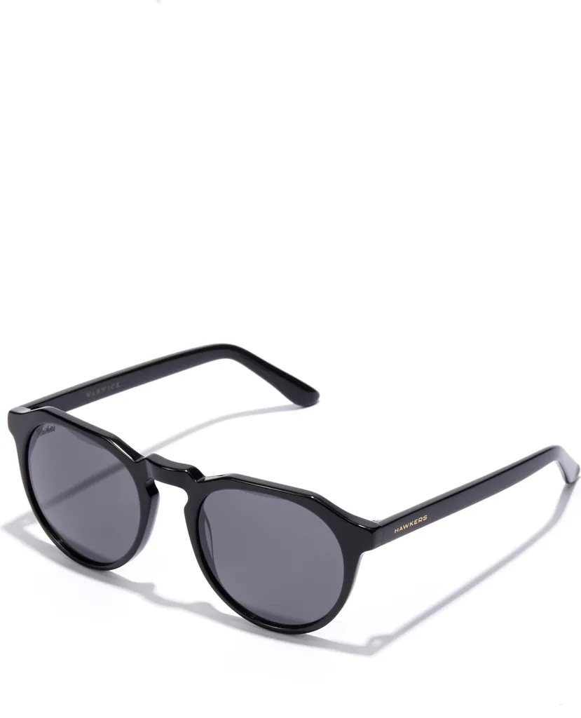 Lunettes de Soleil Unisexes Warwick X Black Dark pour un Style Urbain