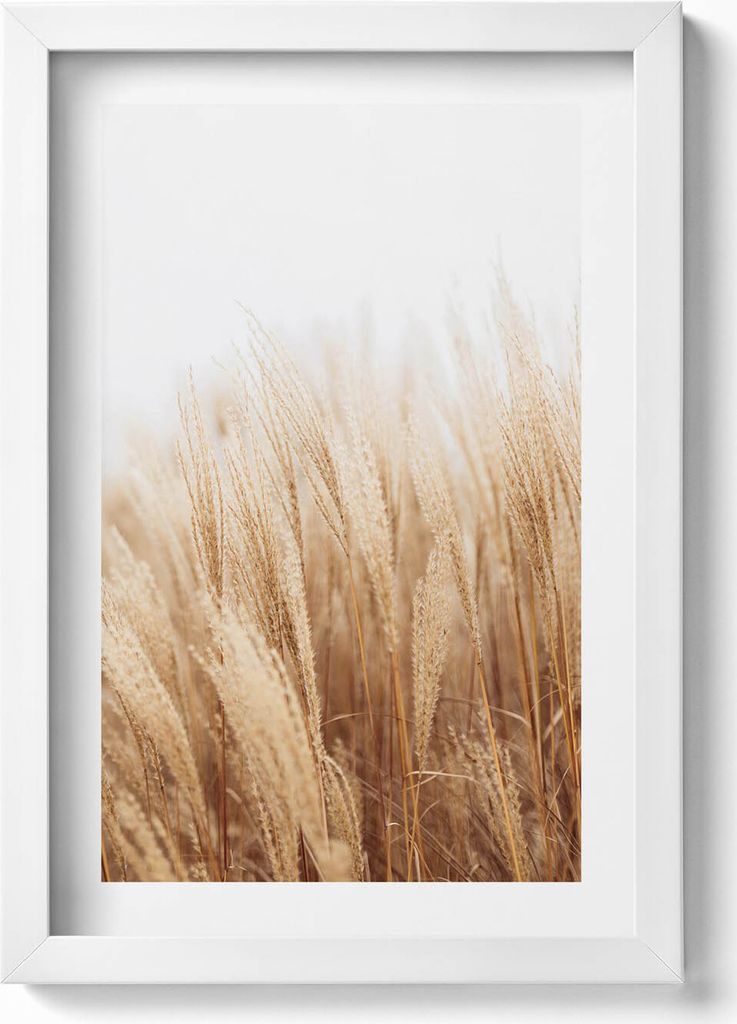 Eine Landschaft mit zarten Boho-Gräsern– Wandbild mit Rahmen – Gerahmtes Bild – Wanddekoration – 20x30 cm – Weiß