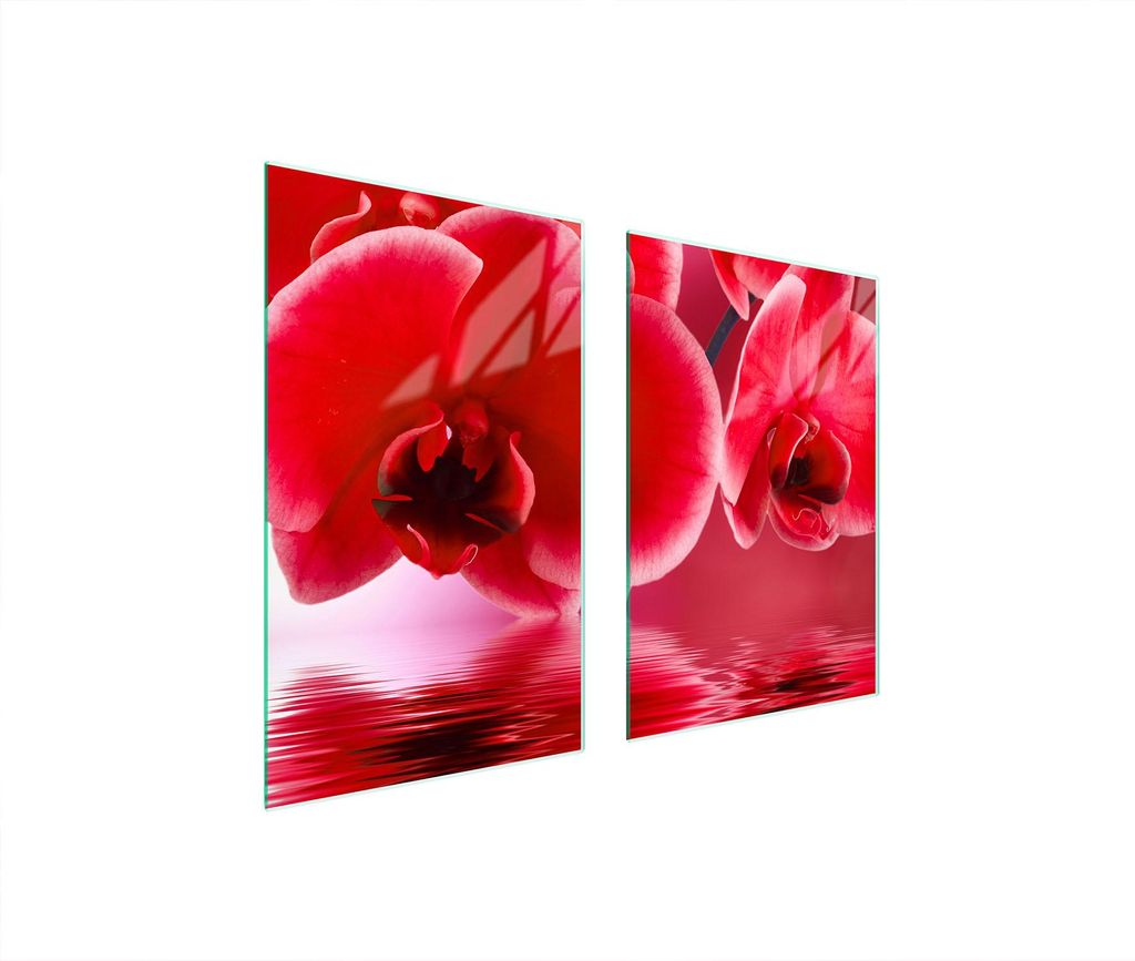 Glasschutzplatte Für Küche 65X52 Orchidee