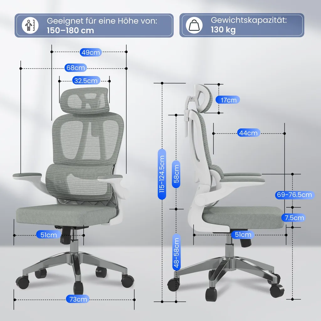 FLEXISPOT Chaise de bureau ergonomique grise avec appui-tête 2D réglable