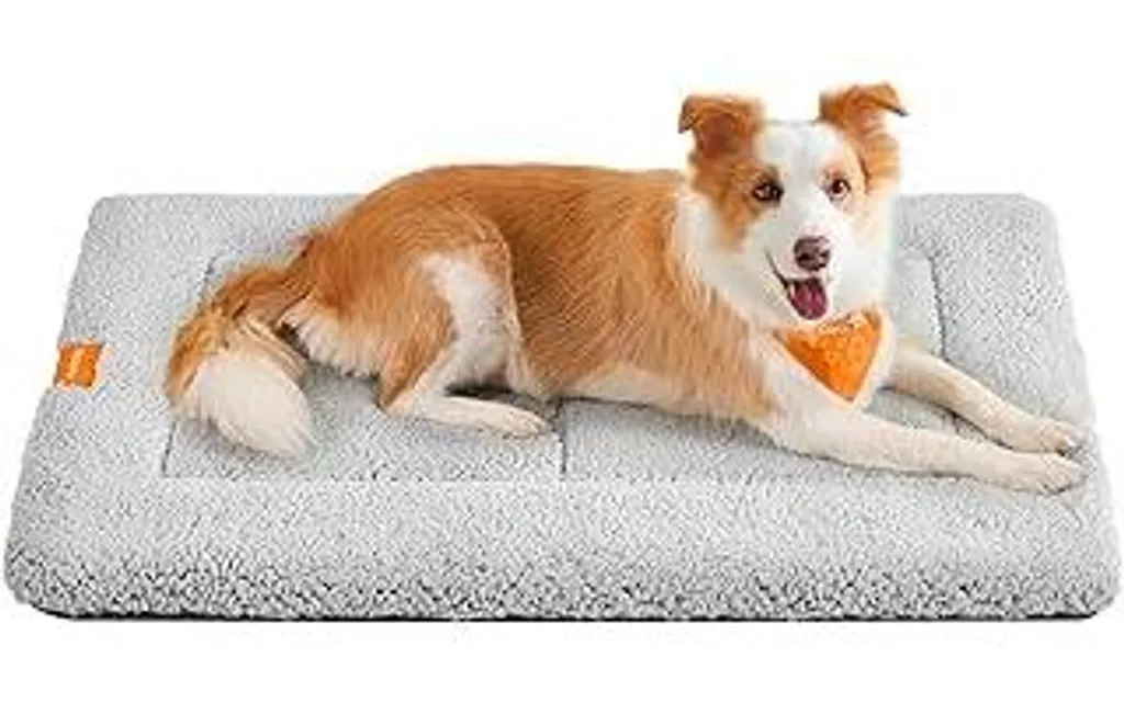 Coperta Animali Feandrea XL Grigio Chiaro - Protezione Divano Elegante