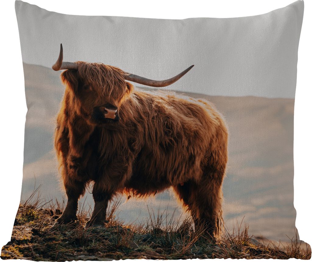 MuchoWow Outdoor Kissen - Schottische Hochlandrind - Tiere - Ländlich - Landschaft - Kuh - Natur - 60x60 cm - Wetterfest - Lounge Kissen - Dekor...