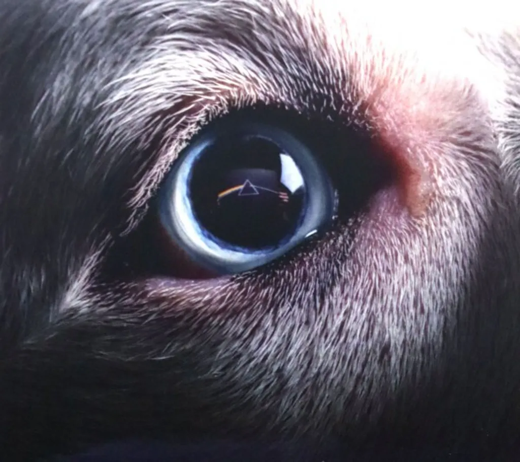Roger Waters : La face cachée de la lune - Documentaire DVD Collector