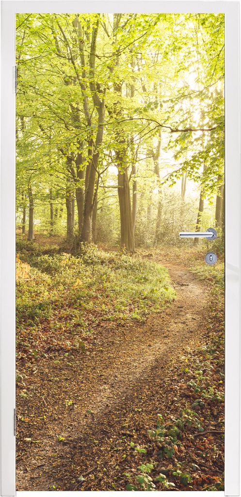 MuchoWow Türtapete Selbstklebende Türfolie Wald - Weg - Sonnenaufgang 80x205 cm Türposter Türaufkleber Klebefolie Türklebefolie - Fototapete...