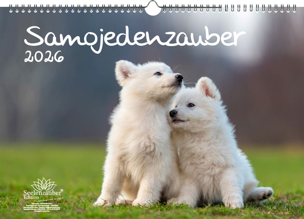 Samojedenzauber DIN A3 Kalender für 2026 Welpen und Hunde - Seelenzauber