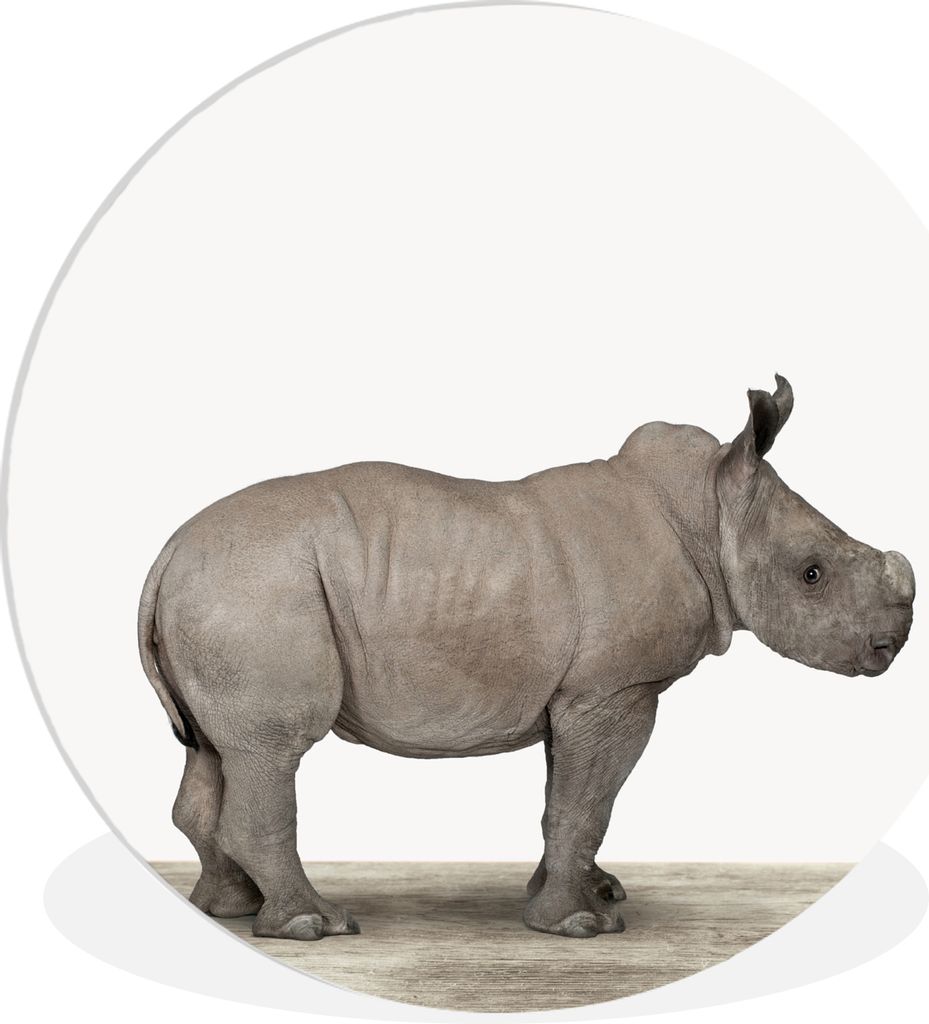 MuchoWow Rundes Wandbild - Runde Bilder Rhinozeros - Tiere - Jungen - Mädchen Ø 60 cm Kreis Wanddekoration Kunststoff - Wandkreis - Wandschmuck...
