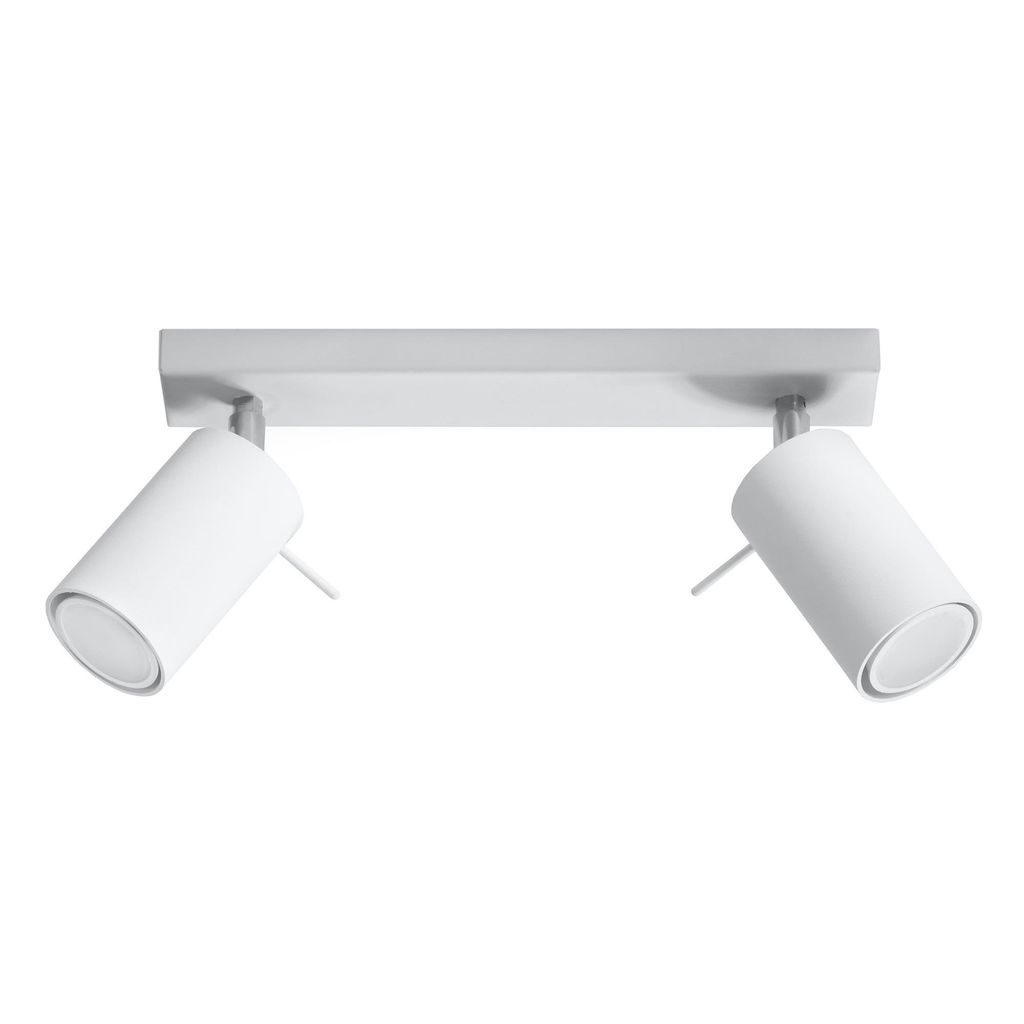 A white ceiling light with two adjustable spotlights.