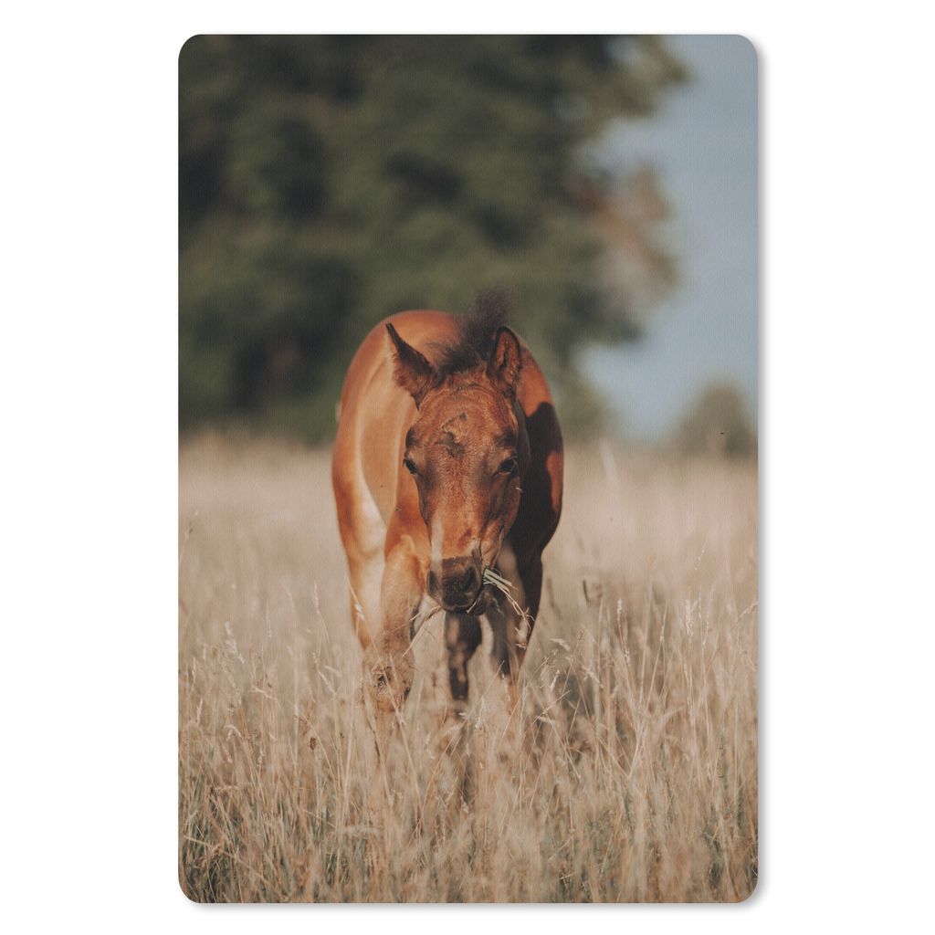 MuchoWow Mauspad Mousepad Pferd - Sonne - Landschaft 40x60 cm - Mousepads - Maus Mat - Pad - Mausunterlage - Schreibtisch Accesoire